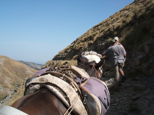 trekking con i muli-74.JPG